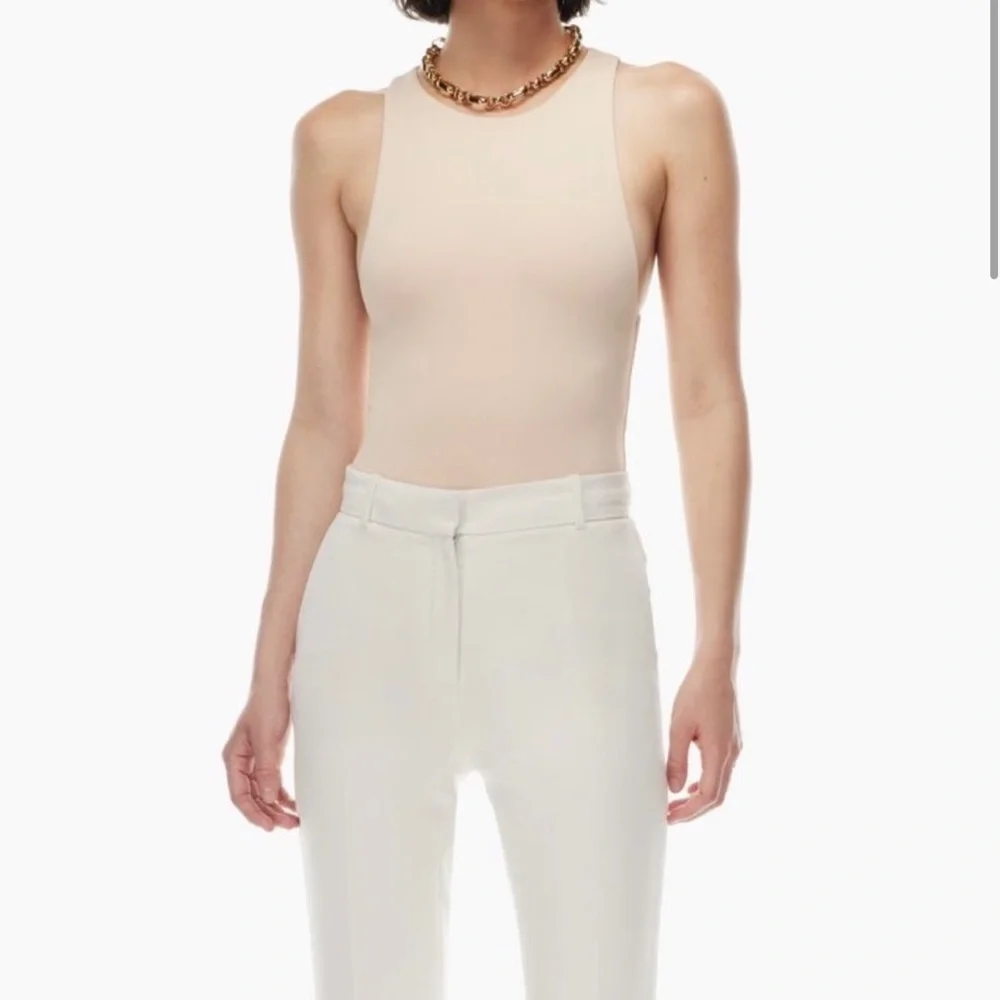 Aritizia Babaton Sleeveless Contour Bodysuit